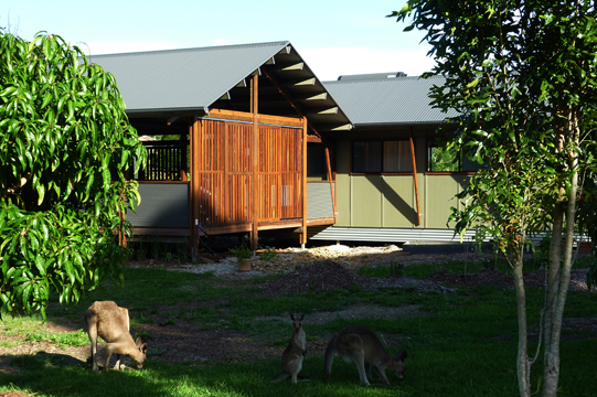 Treby Build - Creek Eco House