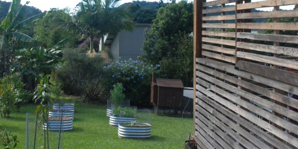 Treby Build - Terraces garden