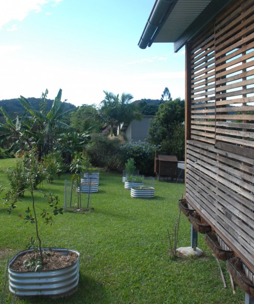 Treby Build - Terraces garden Treby Build - Terraces garden